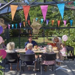 Juliana Serre de jardin en verre Noir 21.5m²