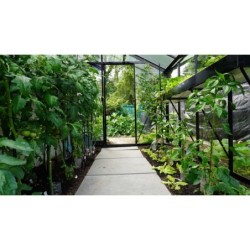 ACD Serre de jardin en verre Noir 6.91m²