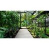 ACD Serre de jardin en verre Noir 6.91m²