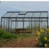 ACD Serre de jardin en verre Noir 8.61m²
