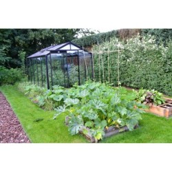 ACD Serre de jardin en verre Noir 8.61m²