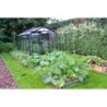 ACD Serre de jardin en verre Noir 8.61m²