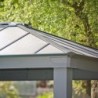 Canopia by Palram Tonnelles de jardin Aluminium Gris 25.6m²