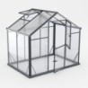 Gampre Serre de jardin en verre Gris 3.3m²