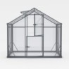 Gampre Serre de jardin en verre Gris 3.3m²