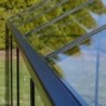 Gampre Serre de jardin en verre Noir 4.35m²