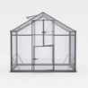 Gampre Serre de jardin en verre Noir 6.5m²