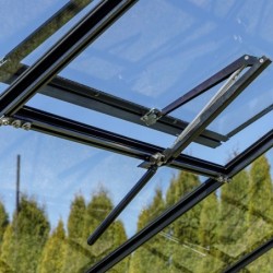 Gampre Serre de jardin en verre Noir 6.5m²