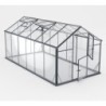 Gampre Serre de jardin en verre Noir 9.8m²
