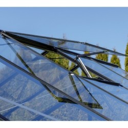 Gampre Serre de jardin en verre Noir 12.5m²