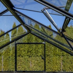 Gampre Serre de jardin en verre Noir 12.5m²