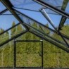 Gampre Serre de jardin en verre Noir 12.5m²