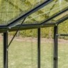 Gampre Serre de jardin en verre Noir 12.5m²