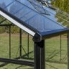 Gampre Serre de jardin en verre Noir 12.5m²