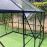 Green Protect Serre de jardin en verre Aluminium et verre trempé Noir 12.01m²