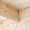 Eden Partenaire Jardin Abri de jardin bois 10 à 15 m² Bois massif Marron 12.6m²