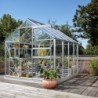 Vitavia Serre de jardin en verre Gris 5m²