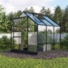 Vitavia Serre de jardin en verre Noir 3.8m²