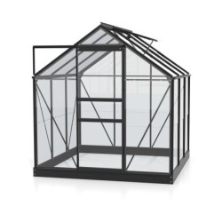 Vitavia Serre de jardin en verre Noir 3.8m²