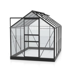 Vitavia Serre de jardin en verre Noir 5m²