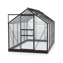 Vitavia Serre de jardin en verre Noir 6.2m²