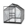 Vitavia Serre de jardin en verre Noir 6.2m²