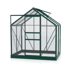 Vitavia Serre de jardin en verre Vert 2,5m²