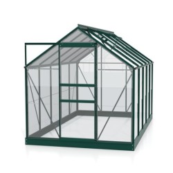 Vitavia Serre de jardin en verre Vert 6.2m²
