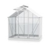 Vitavia Serre de jardin en verre