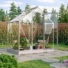 Vitavia Serre de jardin en verre