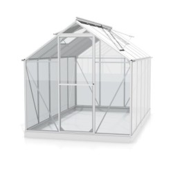 Vitavia Serre de jardin en verre