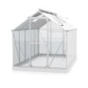 Vitavia Serre de jardin en verre