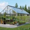 Vitavia Serre de jardin en verre Gris 11.5m²