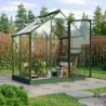 Vitavia Serre de jardin en verre Vert 2,5m²