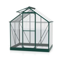 Vitavia Serre de jardin en verre Vert 2,5m²