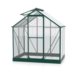 Vitavia Serre de jardin en verre Vert 2,5m²