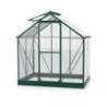 Vitavia Serre de jardin en verre Vert 2,5m²