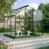 Vitavia Serre de jardin en verre