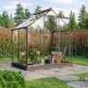 Vitavia Serre de jardin en verre Noir 2,5m²
