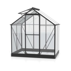 Vitavia Serre de jardin en verre Noir 2,5m²