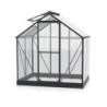 Vitavia Serre de jardin en verre Noir 2,5m²