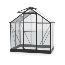 Vitavia Serre de jardin en verre Noir 2,5m²