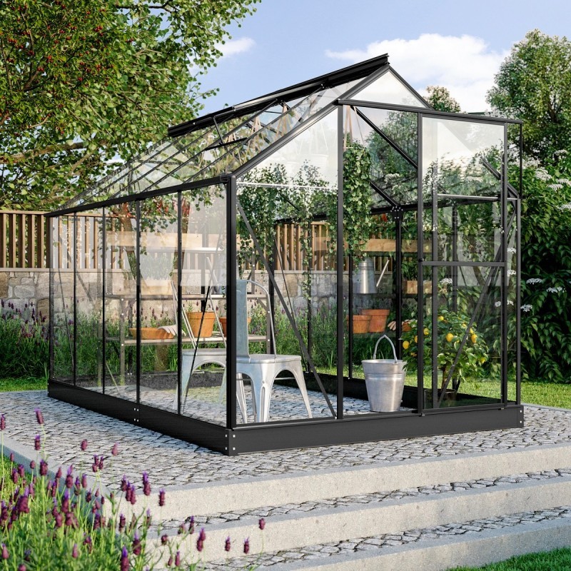 Vitavia Serre de jardin en verre Noir 6.2m²