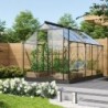 Vitavia Serre de jardin en verre Noir 6.2m²