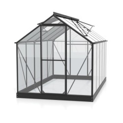 Vitavia Serre de jardin en verre Noir 6.2m²