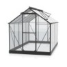 Vitavia Serre de jardin en verre Noir 6.2m²