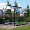 Vitavia Serre de jardin en verre Noir 6.7m²