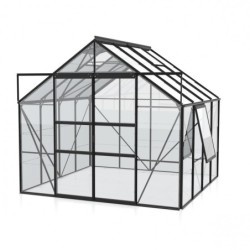 Vitavia Serre de jardin en verre Noir 6.7m²