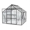Vitavia Serre de jardin en verre Noir 6.7m²