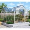 Vitavia Serre de jardin en verre Gris 13m²